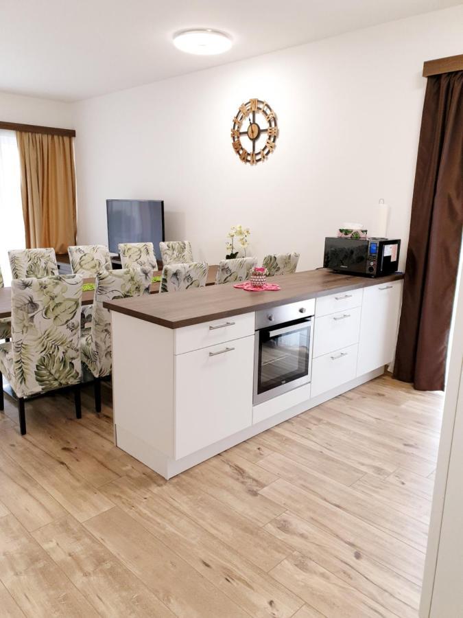Cityapartment Monika Schladming Extérieur photo